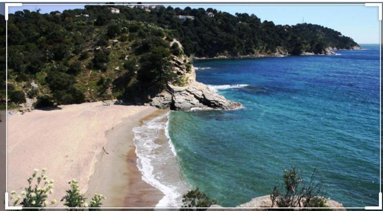 Cavalaire Vue Mer Au Loin Maisonnette Tout Equipee Pour 4 Personnes Avec Piscine Clim Wifi Velos Tv Barbecues Exteriér fotografie